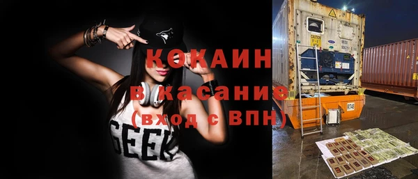 мяу мяу мука Михайловка